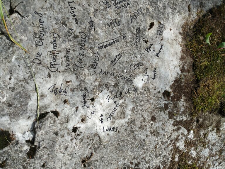 IMG_20200813_144708 IMG_20200813_144708