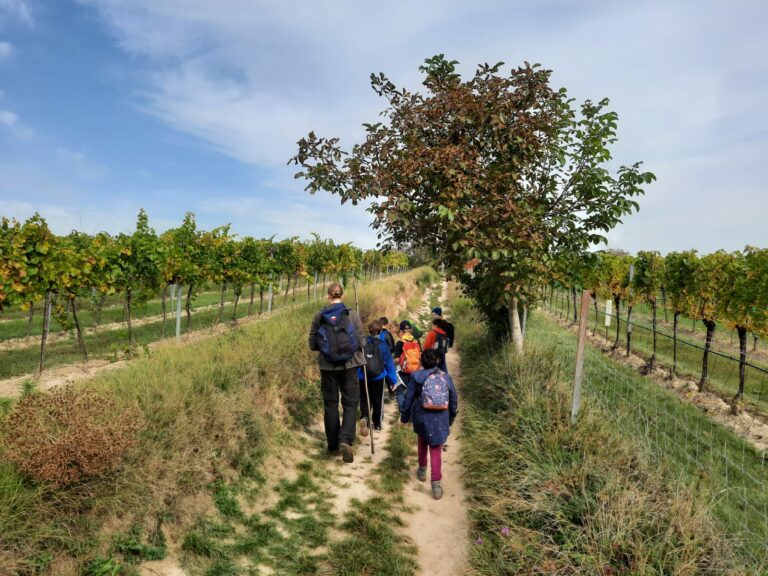 WhatsApp Image 2020-10-10 at 13.28.27 WhatsApp Image 2020-10-10 at 13.28.27